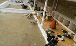 accueil-agriculturel-agro world group