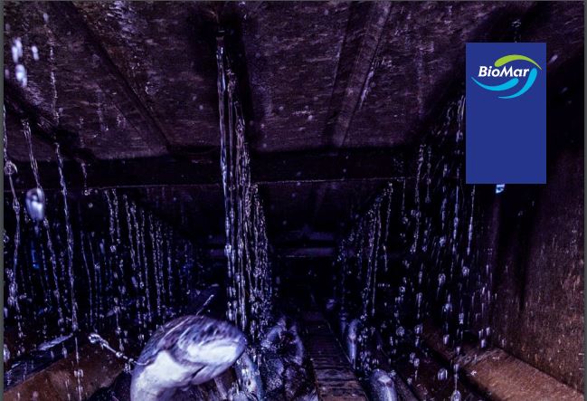 L’aliment pour poisson BIOMAR