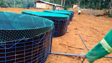 Installation des bacs au compte d’un client pour la production des poissons silures à Douala