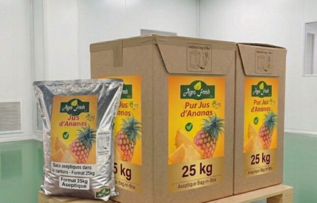Optimisez vos importations avec nos Jus 100 % Naturels en Format Aseptique 25 L